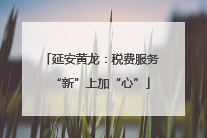 延安黄龙：税费服务“新”上加“心”