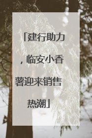 建行助力，临安小香薯迎来销售热潮