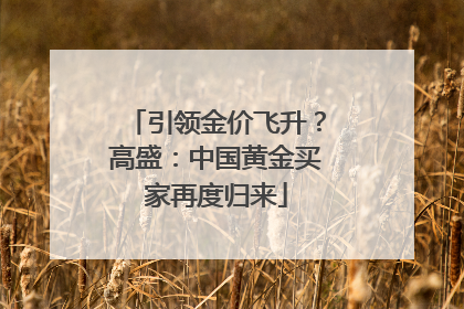 引领金价飞升？高盛：中国黄金买家再度归来