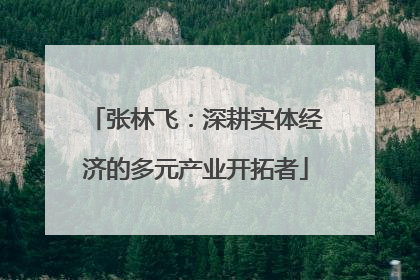 张林飞：深耕实体经济的多元产业开拓者