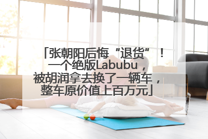 张朝阳后悔“退货”！一个绝版Labubu，被胡润拿去换了一辆车，整车原价值上百万元