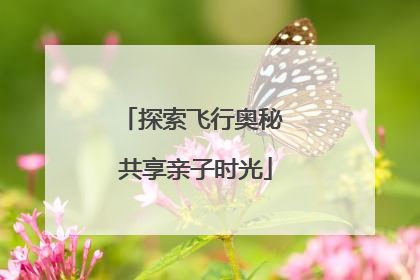 探索飞行奥秘 共享亲子时光