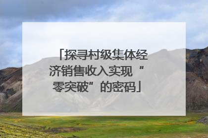 探寻村级集体经济销售收入实现“零突破”的密码