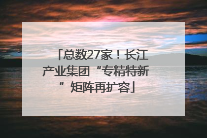总数27家！长江产业集团“专精特新”矩阵再扩容