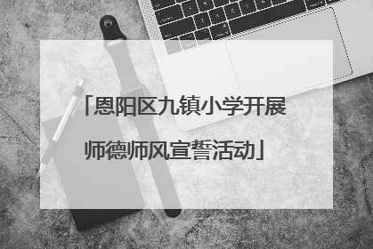 恩阳区九镇小学开展师德师风宣誓活动