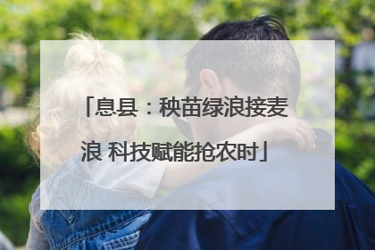 息县：秧苗绿浪接麦浪 科技赋能抢农时
