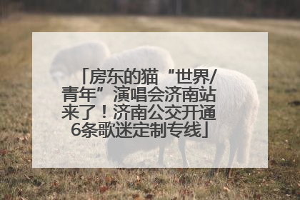 房东的猫“世界/青年”演唱会济南站来了！济南公交开通6条歌迷定制专线