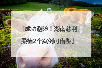 成功避险！湖南慈利、桑植2个案例可借鉴