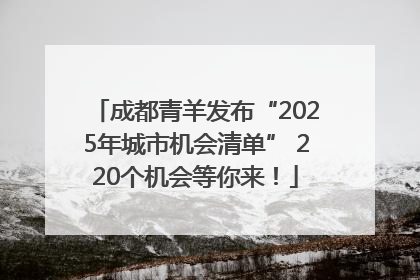 成都青羊发布“2025年城市机会清单” 220个机会等你来！