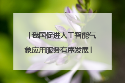 我国促进人工智能气象应用服务有序发展