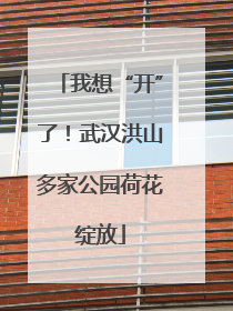 我想“开”了！武汉洪山多家公园荷花绽放