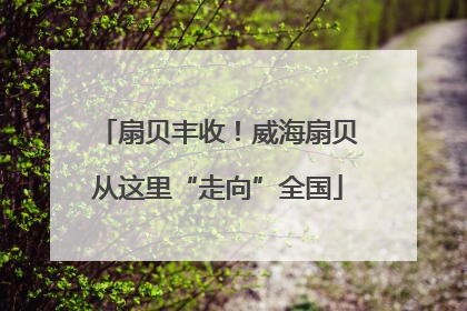 扇贝丰收！威海扇贝从这里“走向”全国