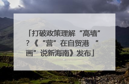 打破政策理解“高墙”？《“营”在自贸港 “画”说新海南》发布