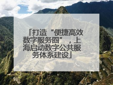 打造“便捷高效数字服务圈”，上海启动数字公共服务体系建设