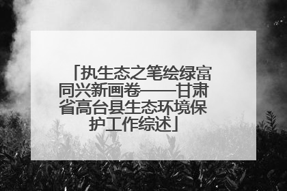 执生态之笔绘绿富同兴新画卷——甘肃省高台县生态环境保护工作综述