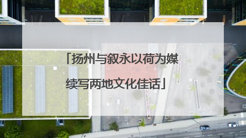 扬州与叙永以荷为媒续写两地文化佳话