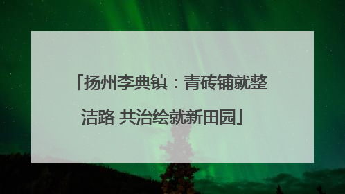 扬州李典镇：青砖铺就整洁路 共治绘就新田园
