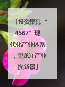 投资聚焦“4567”现代化产业体系，黑龙江产业换新景