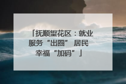 抚顺望花区：就业服务“出圈” 居民幸福“加码”