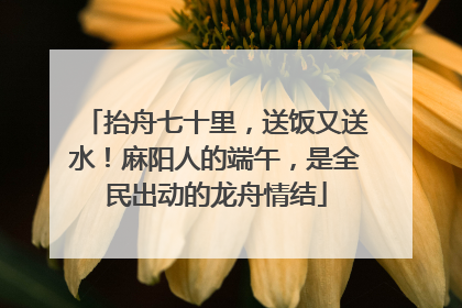 抬舟七十里，送饭又送水！麻阳人的端午，是全民出动的龙舟情结
