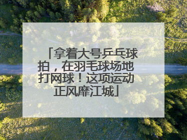拿着大号乒乓球拍，在羽毛球场地打网球！这项运动正风靡江城