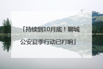 持续到10月底！聊城公安夏季行动已打响