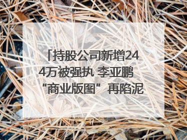 持股公司新增244万被强执 李亚鹏“商业版图”再陷泥潭？｜科技观察