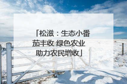 松滋：生态小番茄丰收 绿色农业助力农民增收