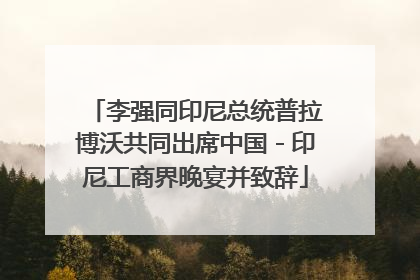李强同印尼总统普拉博沃共同出席中国－印尼工商界晚宴并致辞
