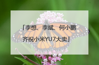李想、李斌、何小鹏齐祝小米YU7大卖