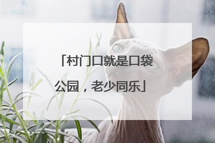 村门口就是口袋公园，老少同乐