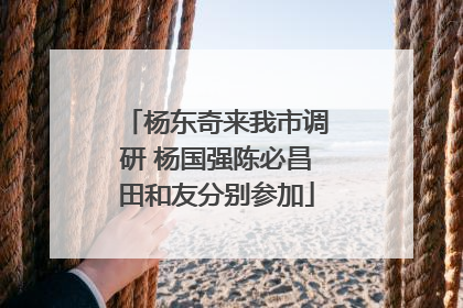 杨东奇来我市调研 杨国强陈必昌田和友分别参加