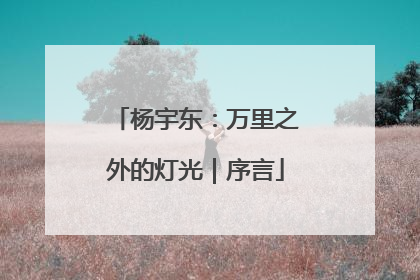杨宇东：万里之外的灯光｜序言