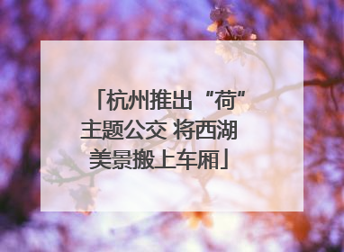 杭州推出“荷”主题公交 将西湖美景搬上车厢