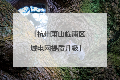 杭州萧山临浦区域电网提质升级