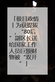 极目政情丨为获提拔，“80后”副区长送给国家工作人员巨额财物被“双开”