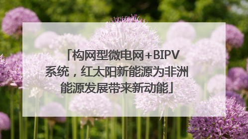 构网型微电网+BIPV系统，红太阳新能源为非洲能源发展带来新动能
