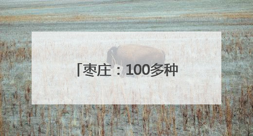 枣庄：100多种石榴产品，靠什么“七十二变”？