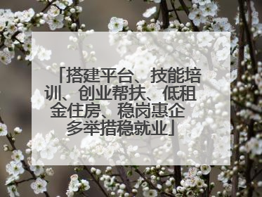 搭建平台、技能培训、创业帮扶、低租金住房、稳岗惠企 多举措稳就业