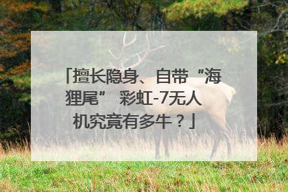 擅长隐身、自带“海狸尾” 彩虹-7无人机究竟有多牛？