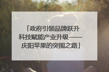 政府引领品牌跃升 科技赋能产业升级——庆阳苹果的突围之路