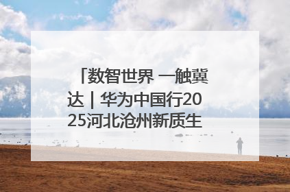 数智世界 一触冀达｜华为中国行2025河北沧州新质生产力峰会成功举办