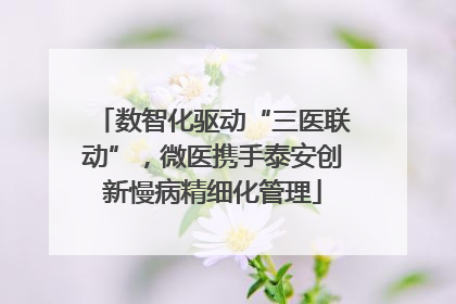 数智化驱动“三医联动”，微医携手泰安创新慢病精细化管理