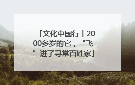 文化中国行丨2000多岁的它，“飞”进了寻常百姓家
