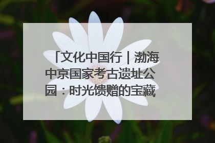 文化中国行｜渤海中京国家考古遗址公园：时光馈赠的宝藏 历史凝固的诗篇