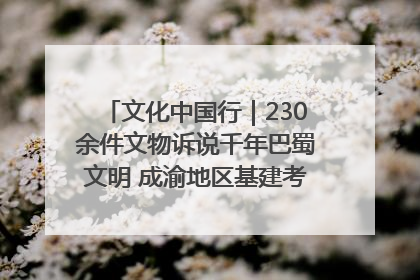 文化中国行｜230余件文物诉说千年巴蜀文明 成渝地区基建考古成果展开展
