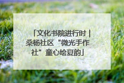 文化书院进行时｜桑杨社区“微光手作社”童心绘夏韵