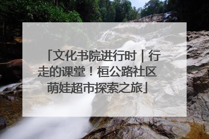 文化书院进行时｜行走的课堂！桓公路社区萌娃超市探索之旅