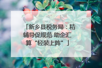 新乡县税务局：精辅导促规范 助企汇算“轻装上阵”