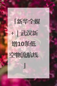 新华全媒+｜武汉新增10条低空物流航线